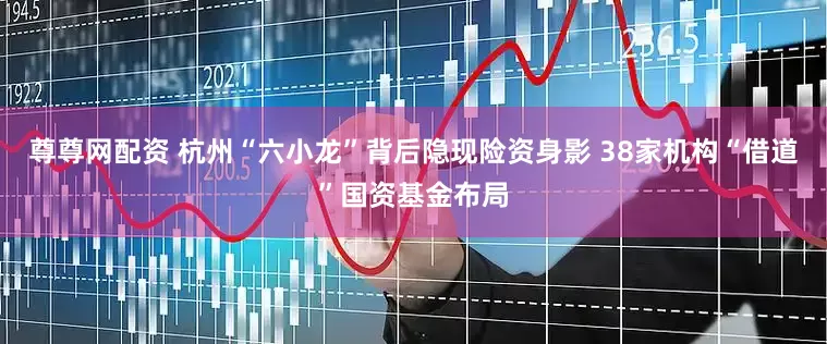尊尊网配资 杭州“六小龙”背后隐现险资身影 38家机构“借道”国资基金布局